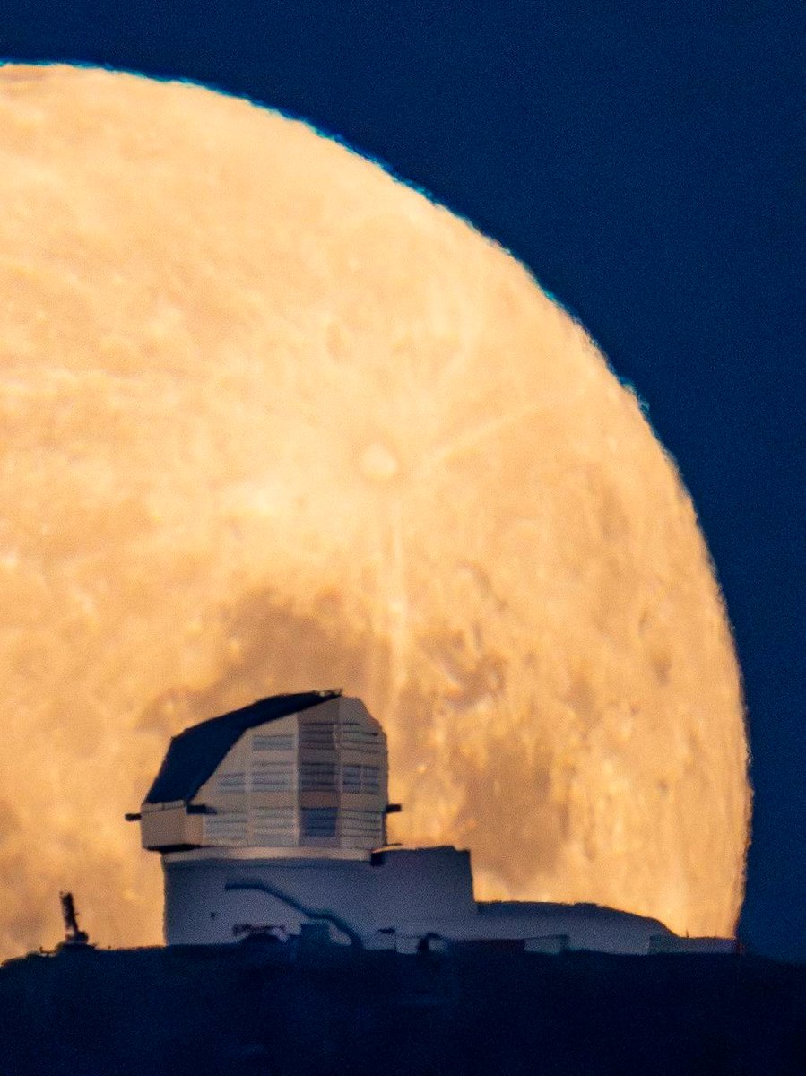 AURAinChile's tweet photo. 🌕¡Mañana 26 de septiembre habrá Luna llena! Cruzando los dedos para tener cielos despejados.
📷: H. Stockebrand. https://t.co/VCiyTywZY8