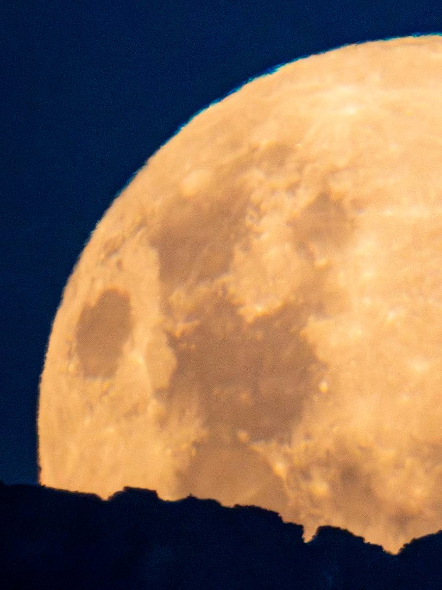 AURAinChile's tweet photo. 🌕¡Mañana 26 de septiembre habrá Luna llena! Cruzando los dedos para tener cielos despejados.
📷: H. Stockebrand. https://t.co/VCiyTywZY8