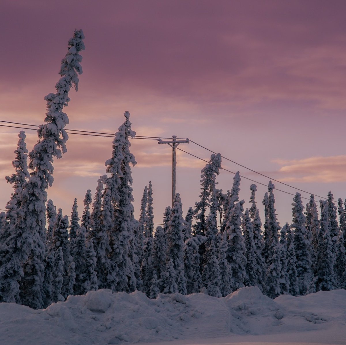 visualsofearth1's tweet photo. Winter in Alaska https://t.co/cF2v0imDQY