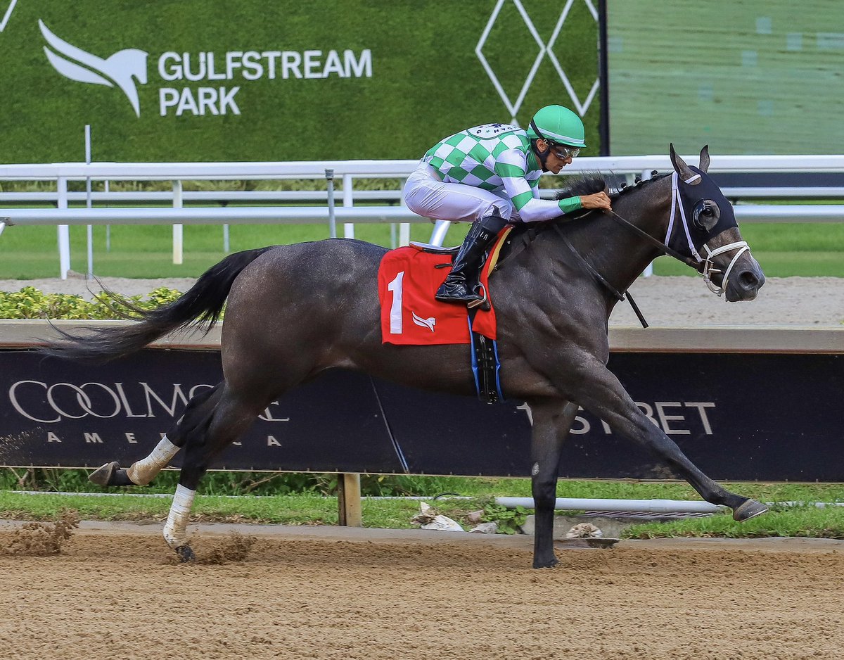 JFDAngelo's tweet photo. Awesome Noah • Leonel Reyes • Jose Francisco D’Angelo

#GulfstreamPark | #SunshineMeet | #HorseRacing https://t.co/ebNxcwK4AO