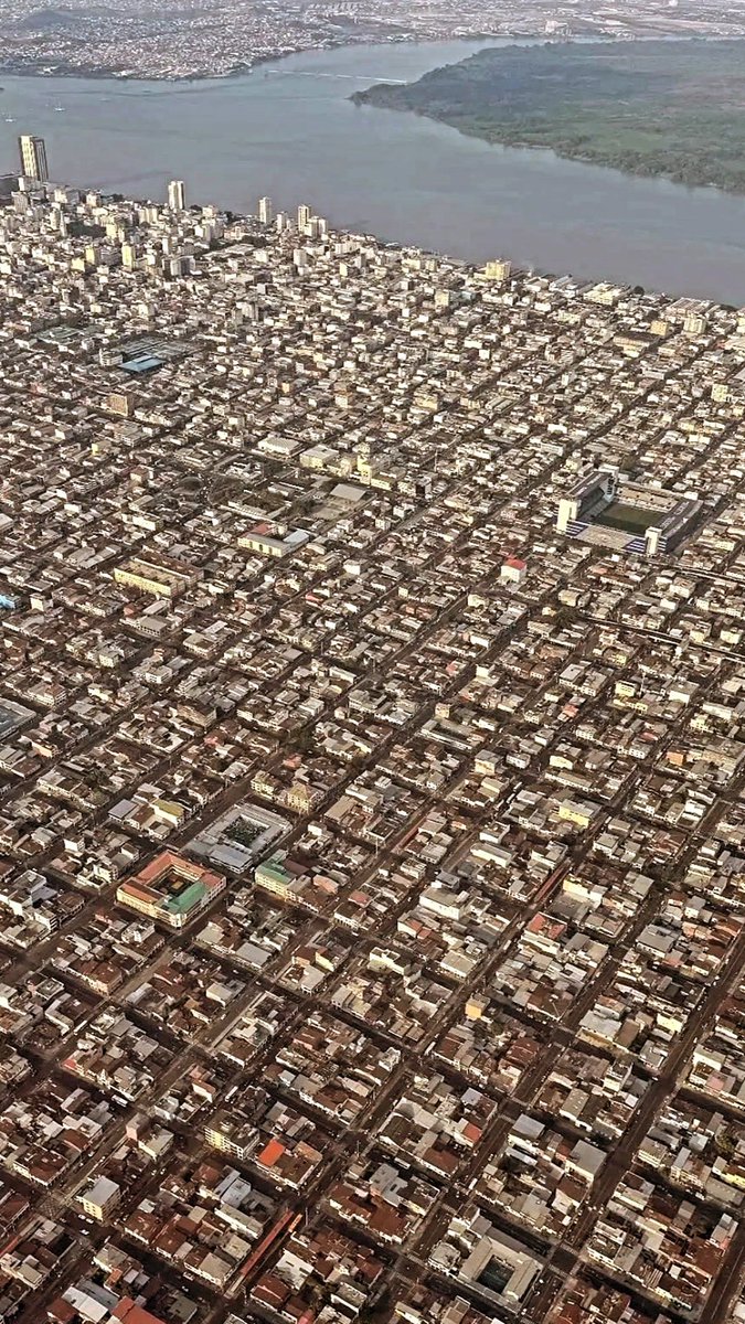 jorgejtouma's tweet photo. 🔥 Guayaquileños, vean esta panorámica y recuerden a todos los funcionarios imbéciles  que pasaron por el Municipio de Guayaquil y permitieron una ciudad sin árboles.

Ocurre también en Quito, porque de burócratas imbéciles está lleno el Ecuador. 🇪🇨 https://t.co/5sZ9gtHkED