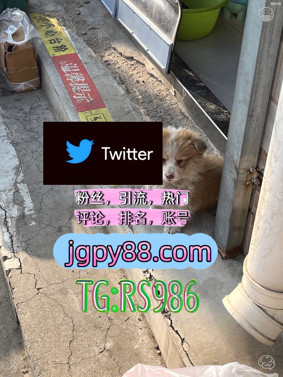 DHermay's tweet photo. 把每一次遇见都当作缘分最好的安排🤚
推特账号购买推特矩阵系统、Twitter矩阵系统、X矩阵系统 
矩阵互动🌞輔助工具🌂 海外获客🌺互推助手🎌数字货币🍁 自动脚本
评论截流🎉股票代码🌟辅助工具🔥品牌增长👍 推广
推特账号 世界杯 https://t.co/EY4U4h1BXK