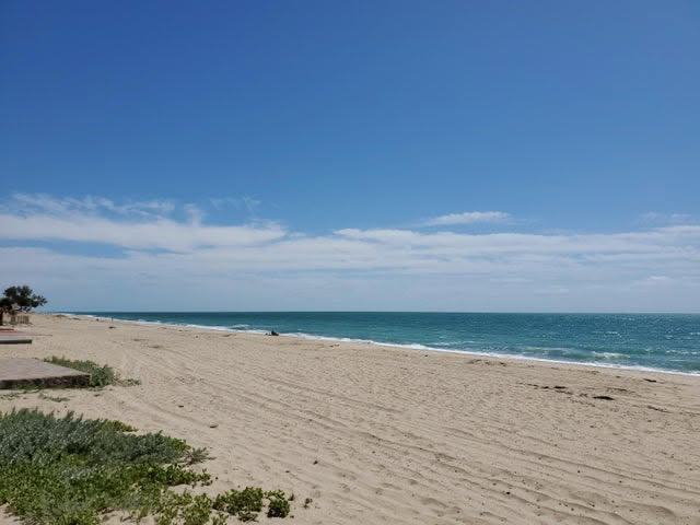RPrealtor2024's tweet photo. Amazing oceanfront property with 5 BA/BD with casita , amazing opportunity and great investment. Now owner financing available for $425,000.00 USD
Jonathan Ferniza
Real Estate Advisor#1671
📷638 104 1064
📷602-283-9800
📷jfpremiergroup@gmail.com
📷https://t.co/Ndn8olhEOp https://t.co/BnNWqEriT8