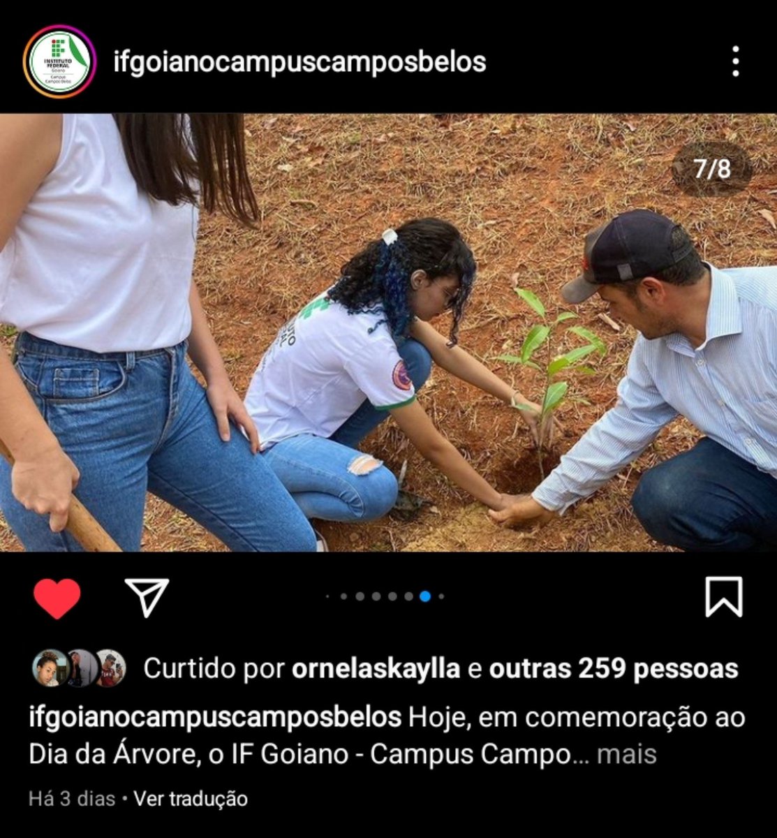 httpswebdiva's tweet photo. vai ter mulher parda periferica plantando arvore sim bb https://t.co/9LpiwrTtij