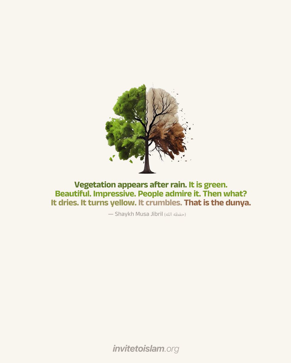 InviteToIslam's tweet photo. Vegetation appears after rain. It is green. Beautiful. Impressive. People admire it. Then what? It dries. It turns yellow. It crumbles. That is the dunya.

— Shaykh Musa Jibril (حفظه الله) https://t.co/9zuLkNeqpv