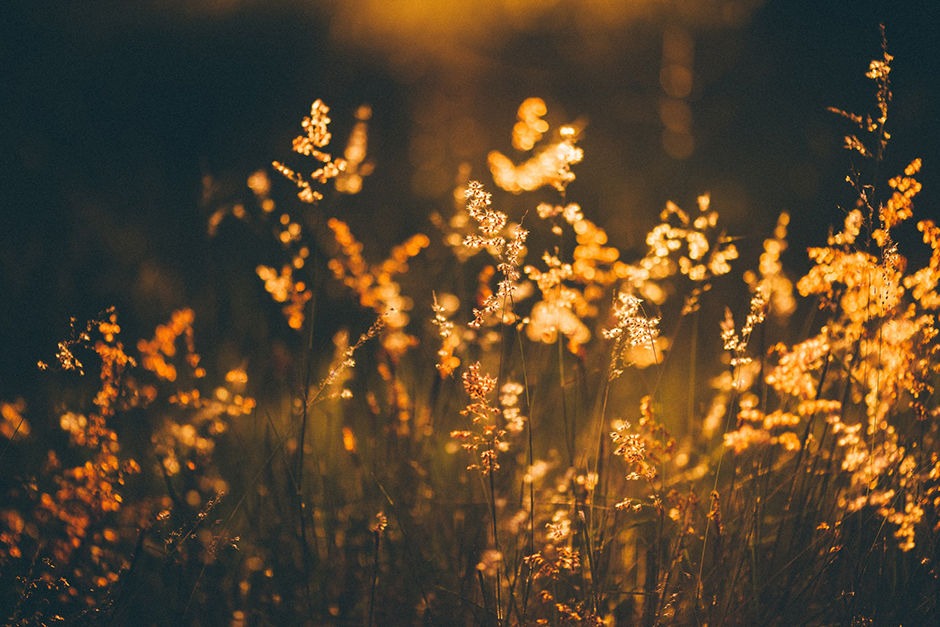 AuroraJackpc's tweet photo. here's to three years, nine months, sixteen days sober ✨️ https://t.co/4eyVOcS6x3