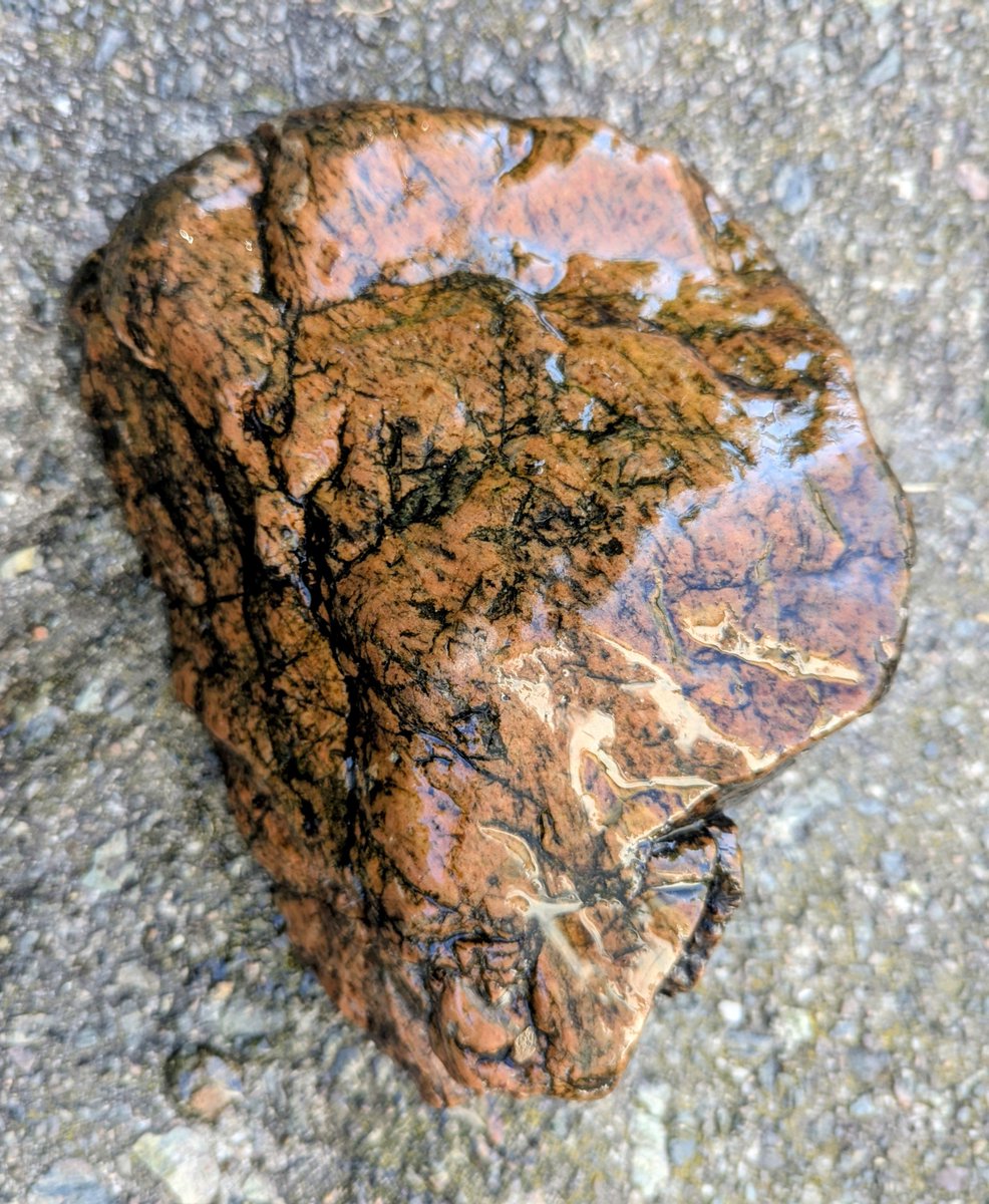 CNRocksCrafts's tweet photo. @DMiller52325459 Thanks D. The river was very generous with me on Sunday. A few more finds. 🪨😍🐦‍⬛ https://t.co/shJOvlPGMT