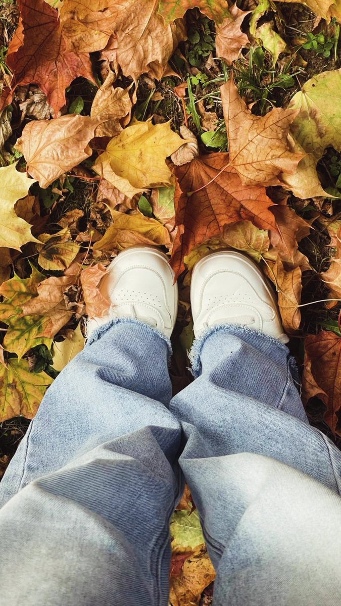 auajanne's tweet photo. Autumn https://t.co/BkWXwCb3pU