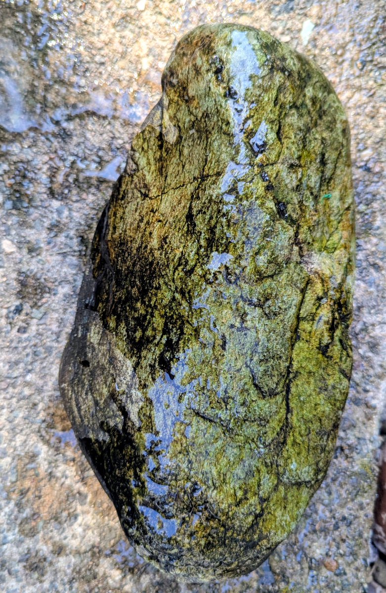 CNRocksCrafts's tweet photo. @DMiller52325459 Thanks D. The river was very generous with me on Sunday. A few more finds. 🪨😍🐦‍⬛ https://t.co/shJOvlPGMT