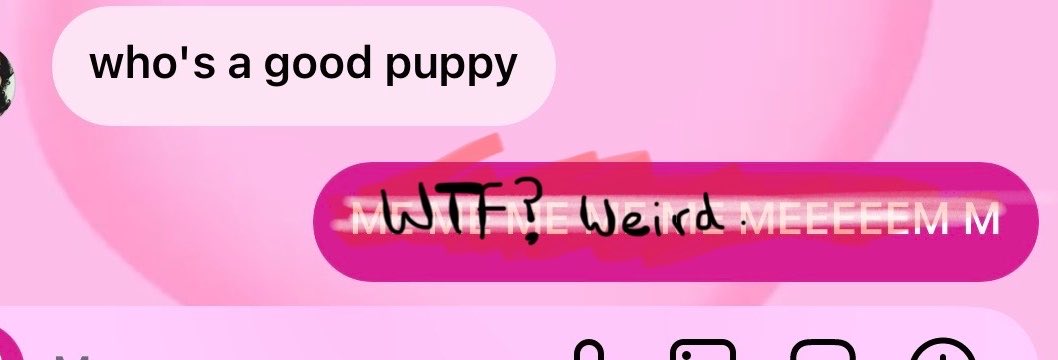 pupvizla's tweet photo. stop sending me weird stuff :// https://t.co/WUeUEskrO3