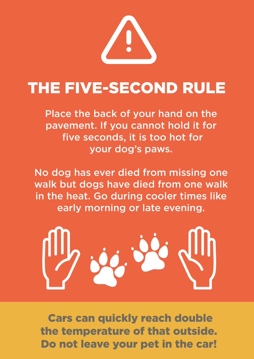 KizzyEastep7's tweet photo. It’s hot! Some breeds, such as Pugs and French Bulldogs, may struggle even more. Avoid the hottest part of the day, and remember cars and pavements can become dangerously hot. Consider early morning or evening appointments for your pet. https://t.co/g1WSpmS6IA