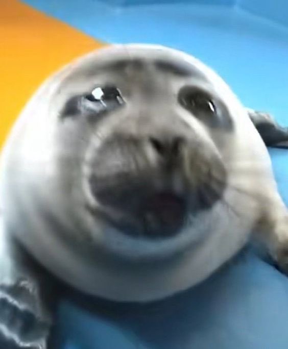 fiddlerboi tweet picture