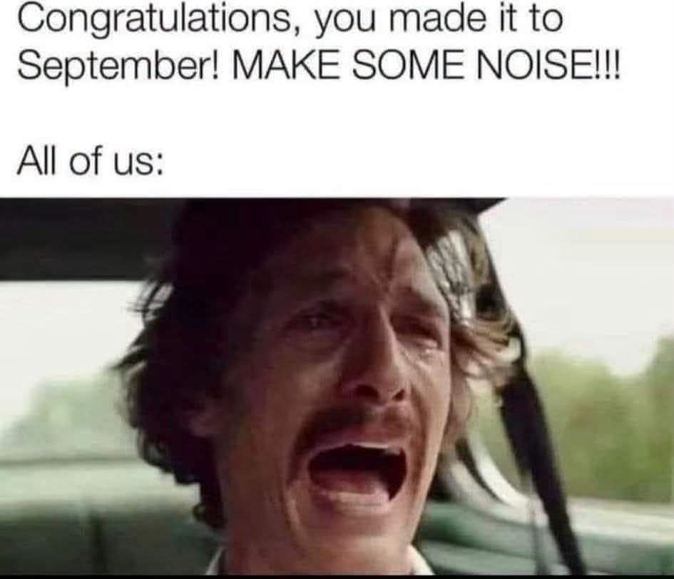 WholesomeMeme tweet picture