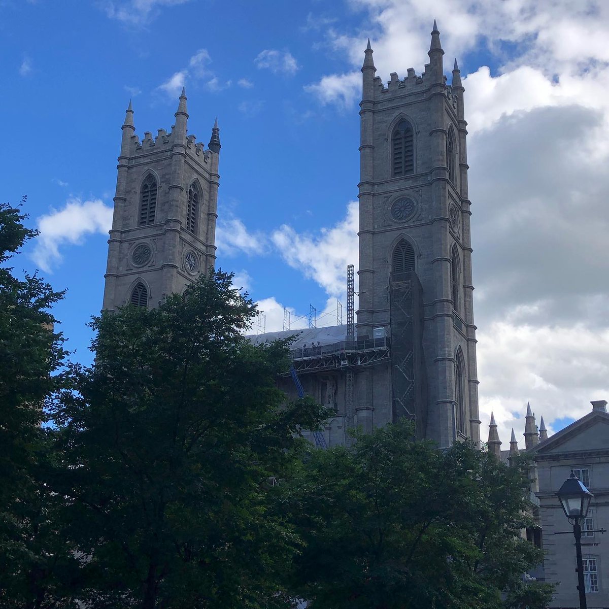 MagnoliaBuhmann's tweet photo. Notre-Dame Basilica, Montreal https://t.co/2nP6VqXYl6