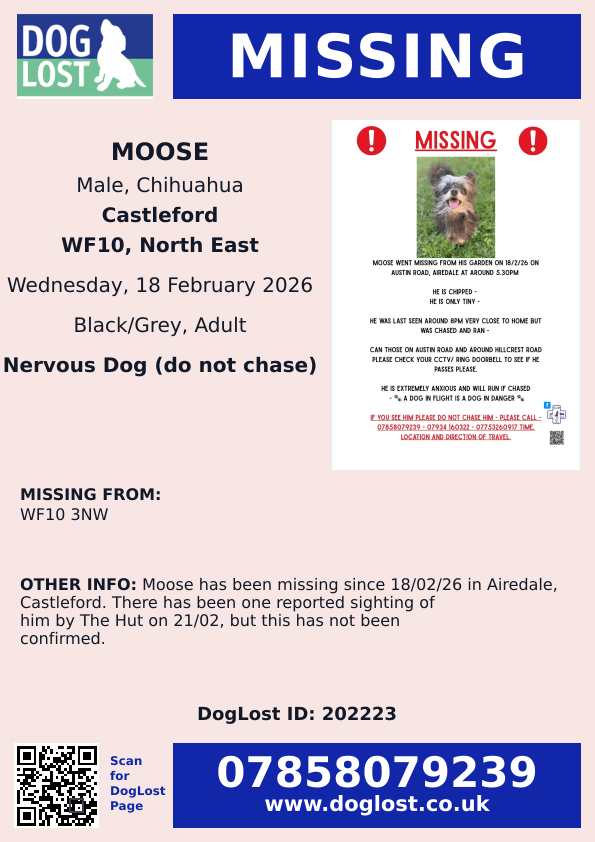 millypod1's tweet photo. 🆘18 FEB 2026 #Lost #StillMissing Moose #ScanMe Chihuahua Male #STOLEN??
nr Austin Road #Castleford #WF10 3NW
#Airedale #WestYorkshire #Yorkshire
https://t.co/nWuZBL4akG https://t.co/N2rM9Q14eQ