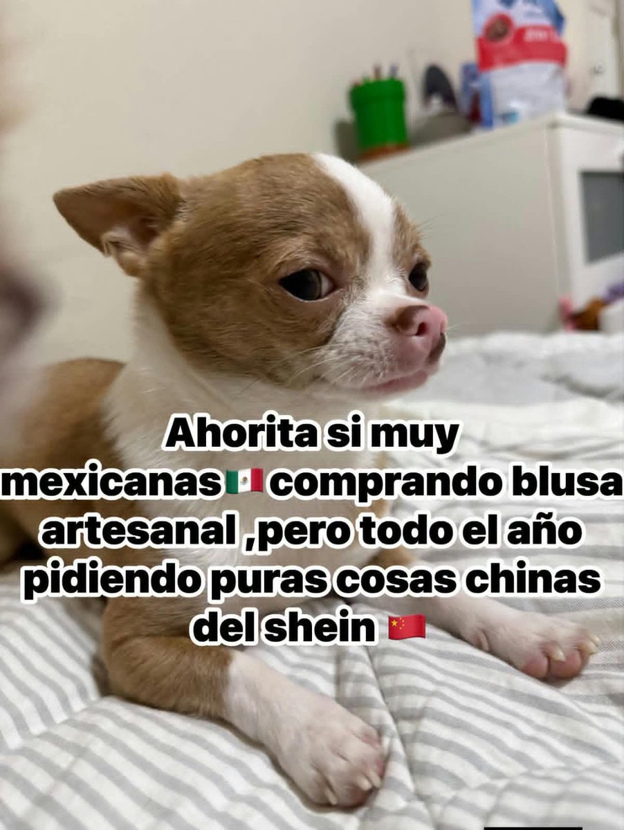esoque_8's tweet photo. 🧵 ¿Ustedes ya tienen listo su outfit para hoy o andan improvisando a última hora? 🇲🇽👔 👗

#mexicanos #independencia #humor #fyp https://t.co/C6Pmm9AWEP