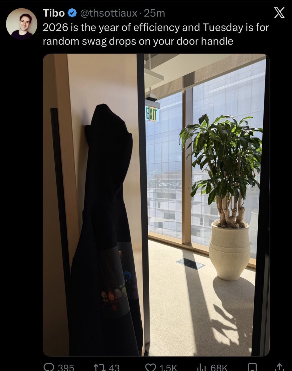 OdraivK's tweet photo. Calling it. Codex Pets, their own version of Grok Bot. Pets on the hoodie. https://t.co/lr7HPDBUfa