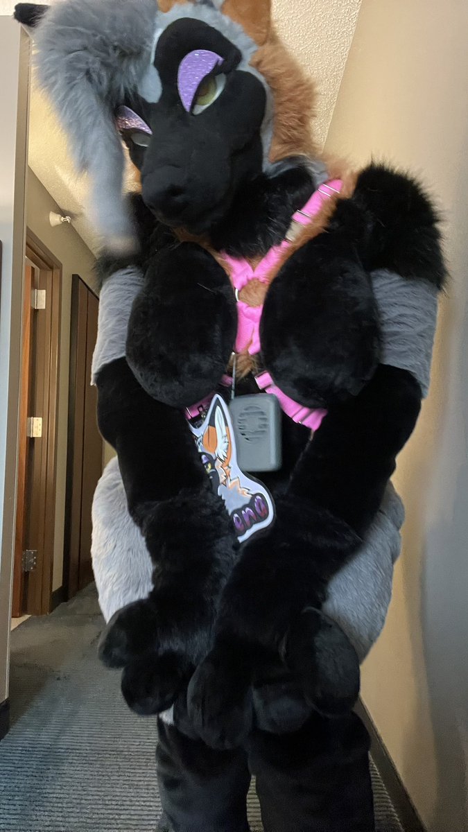 SerenaJack55's tweet photo. Hello everyone!! My birthday is coming up and why celebrate it alone when I can celebrate it with friends and followers alike!! Wanted to meet me? Come on by in vrc!! Check out the group for details!

https://t.co/zl0elZNLIy

#birthday #fursuit #furry #furryfandom https://t.co/bOARKtXGkr