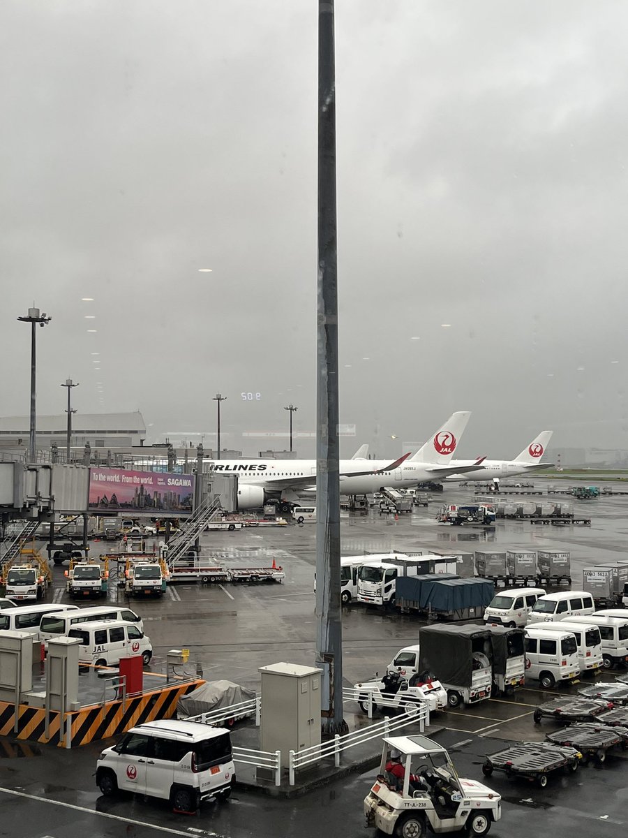 mame20140602's tweet photo. 雨降ってても、この飛行機を見るだけでアガる！！
でも慣れなさすぎて空港で何をどうすればいいか分からなかった…AI、教えてくれてありがとよ😭 https://t.co/wbj619h2yV