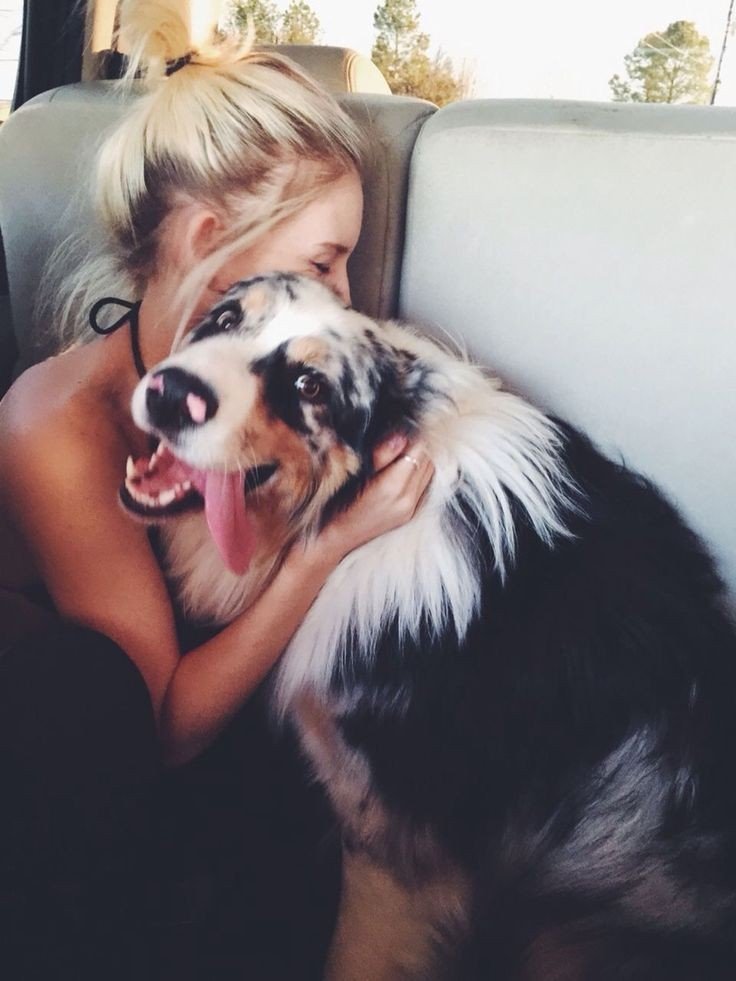 ZedasPawHu0wdl's tweet photo. Sometimes the best part of an adventure is simply having the right companion beside you 🐕✨ Stay with us and subscribe

https://t.co/nwdUIUjeKc https://t.co/okizznM9N1
