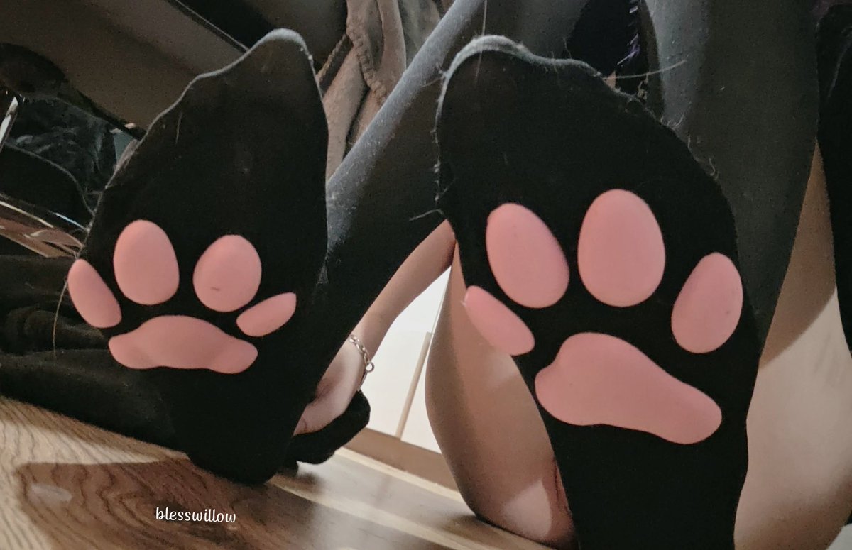 blesswillow's tweet photo. pawz https://t.co/66XUQfXO7g