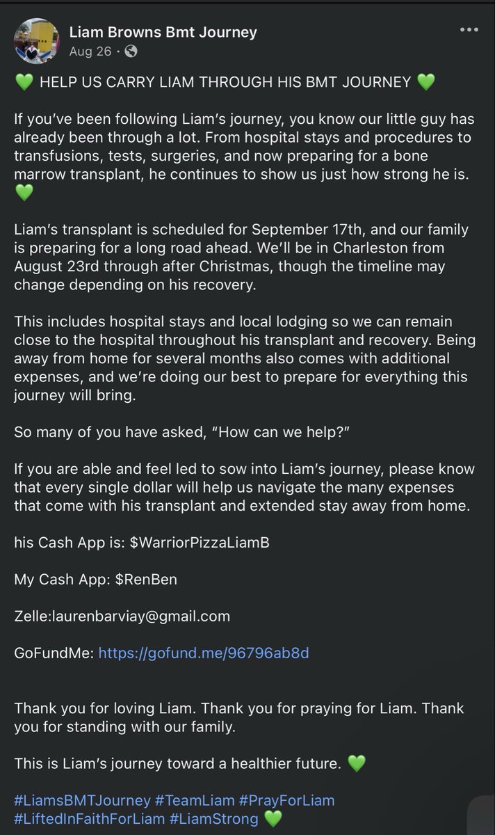 AyeBarVaye's tweet photo. Help support Liam through his Bone Marrow Transplant Journey https://t.co/5KyxRMZ3X6