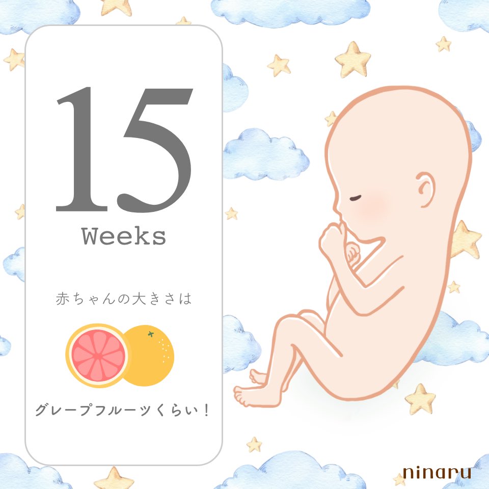 onp22__'s tweet photo. 今日で15wだよ〜〜〜！🌟 https://t.co/gm8iKybFrH