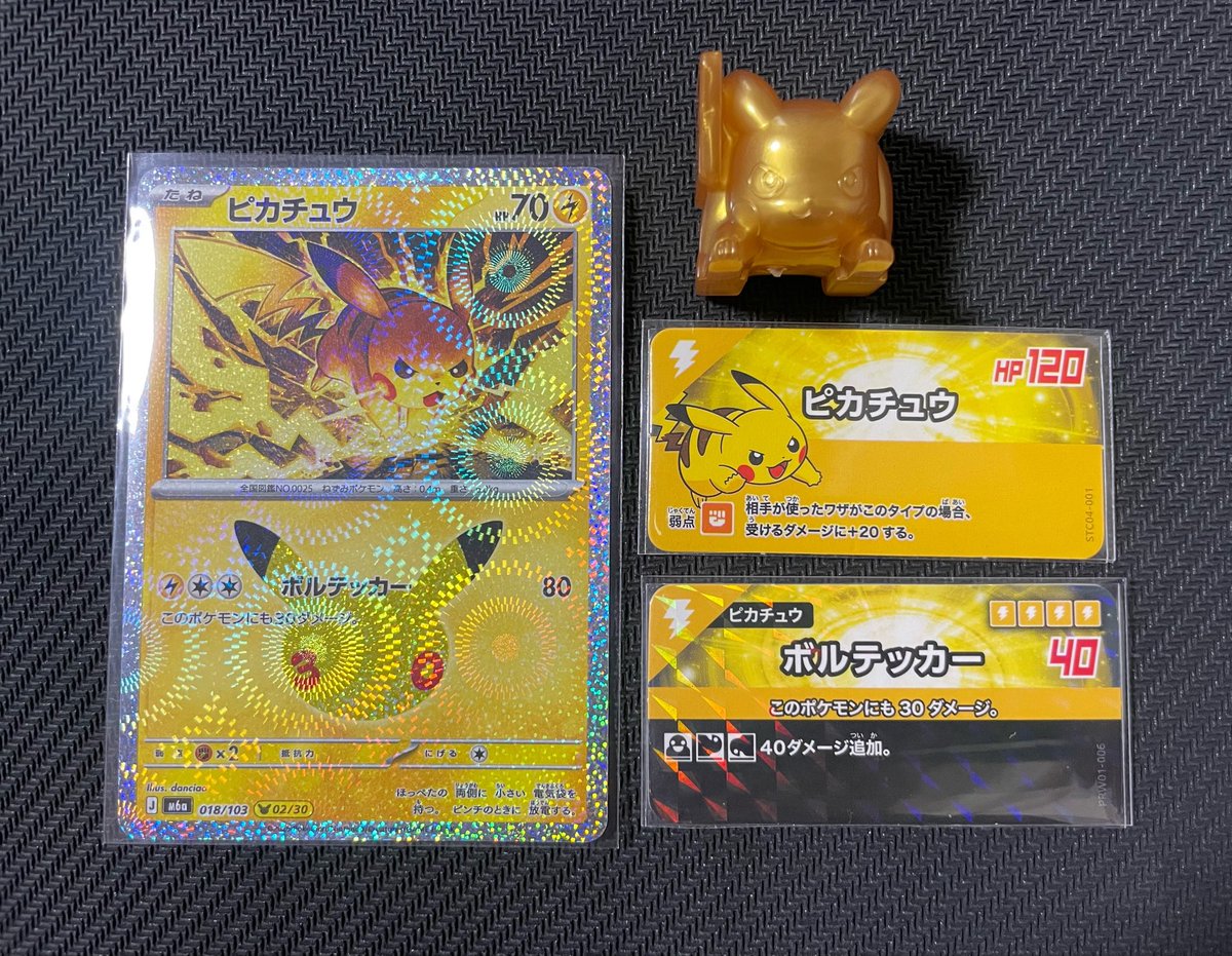 pikaLemon20's tweet photo. うちのぴか https://t.co/eZCLXmNPPS