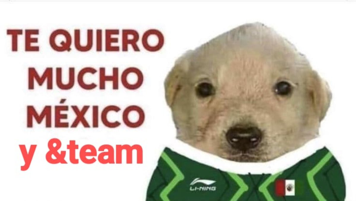 omamoriyu's tweet photo. yo verdaderamente https://t.co/F8iYsCdIqk
