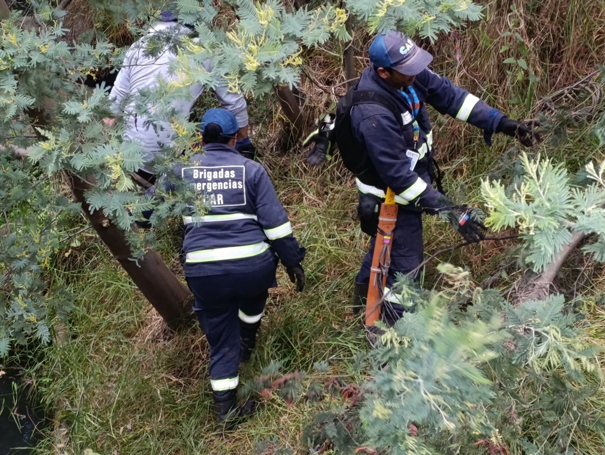 CAR_Cundi's tweet photo. 🌿💧 En Ubaté trabajamos por la protección de nuestras fuentes hídricas. Junto a la Brigada CAR, la Alcaldía y una empresa de flores local, realizamos una jornada de limpieza en el río Suta, retirando material vegetal que obstaculizaba el cauce. https://t.co/w12LVlcFAX