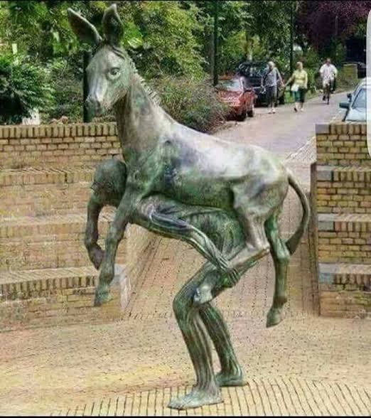 iamsisou's tweet photo. @ALLREDToDoRoJo I have a response for the Zionists, as an Algerian say "The donkey is riding its master."
#FuckZionism and #FreePalestine https://t.co/4USkDKguwO