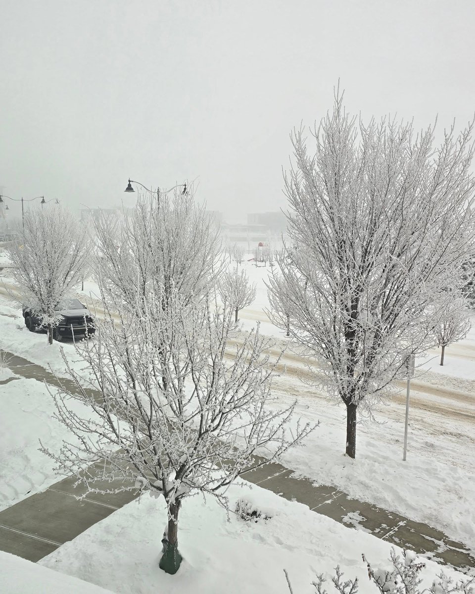 CharlottKrus's tweet photo. It’s so pretty outside, but this weather makes me want to hibernate. https://t.co/JXozYDTld8