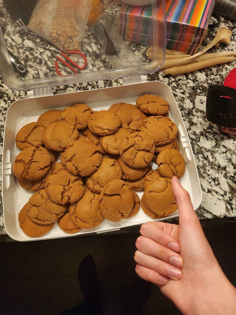 _sugarr_plum's tweet photo. Just a little baking therapy and a whole lot of cookies 🍪🤎

#SweetTooth #FoodieLife #DessertLover #CookieLover #SweetCravings #BakingLove #FoodLover #DessertTime #BakedWithLove 🤎 https://t.co/N5hvSmC1Lj