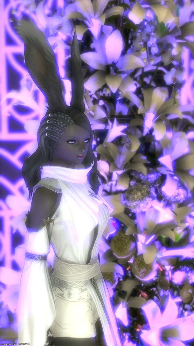 BlackLabbitFF14's tweet photo. 素敵なスタジオ様✨
-Room_flos-Albus-
#Room_flos
#おはうさ #ヴィエラ #FF14 https://t.co/AuIEQH1o6U