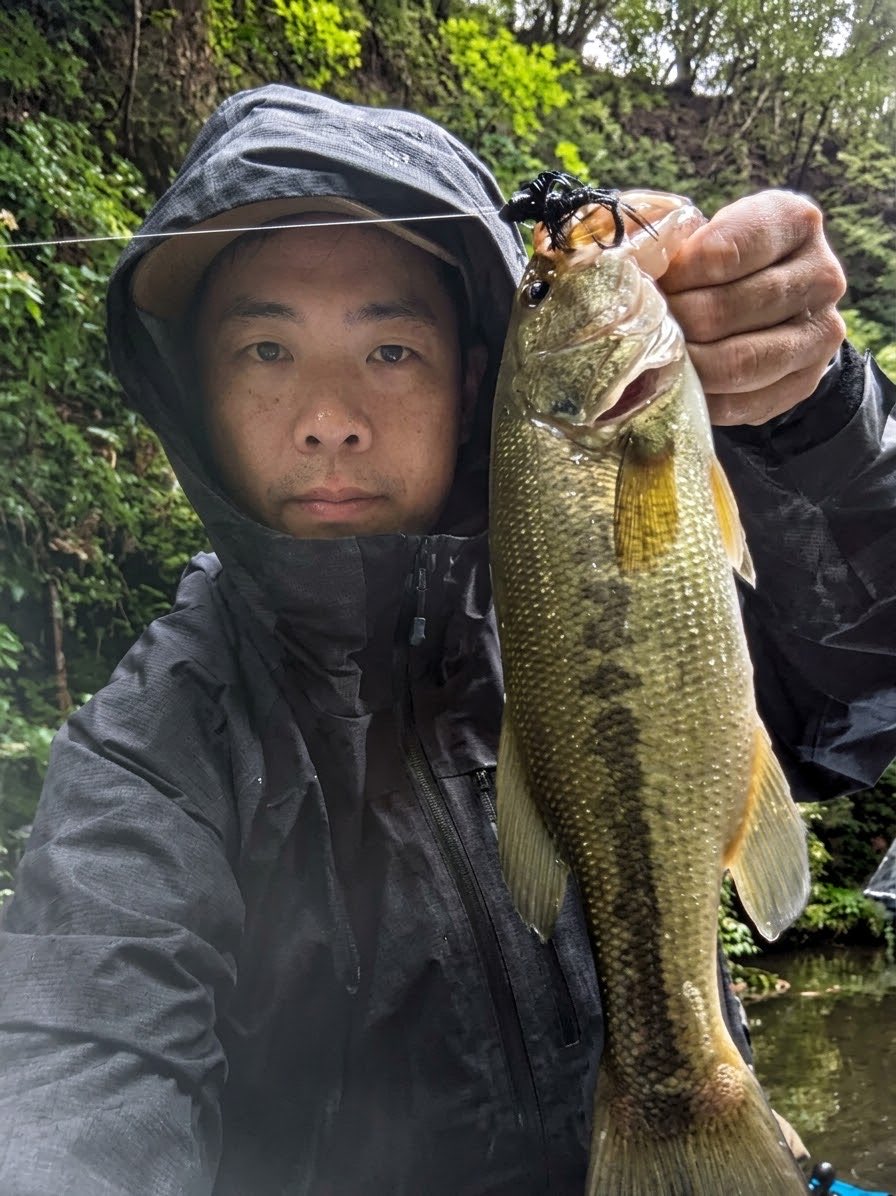 phvmyv's tweet photo. 昨日の三島湖
筋を上がっている途中で松本幸雄さんとすれ違い巻きで釣れている情報をゲット！
ですがもうすでにやられた後で怒涛のショートバイト🫣
追えていないと判断してジグストに切り替えてなかなかいい釣りができました！

#三島湖
#ともゑボート
#房総リザーバー https://t.co/iUEyopg3pJ