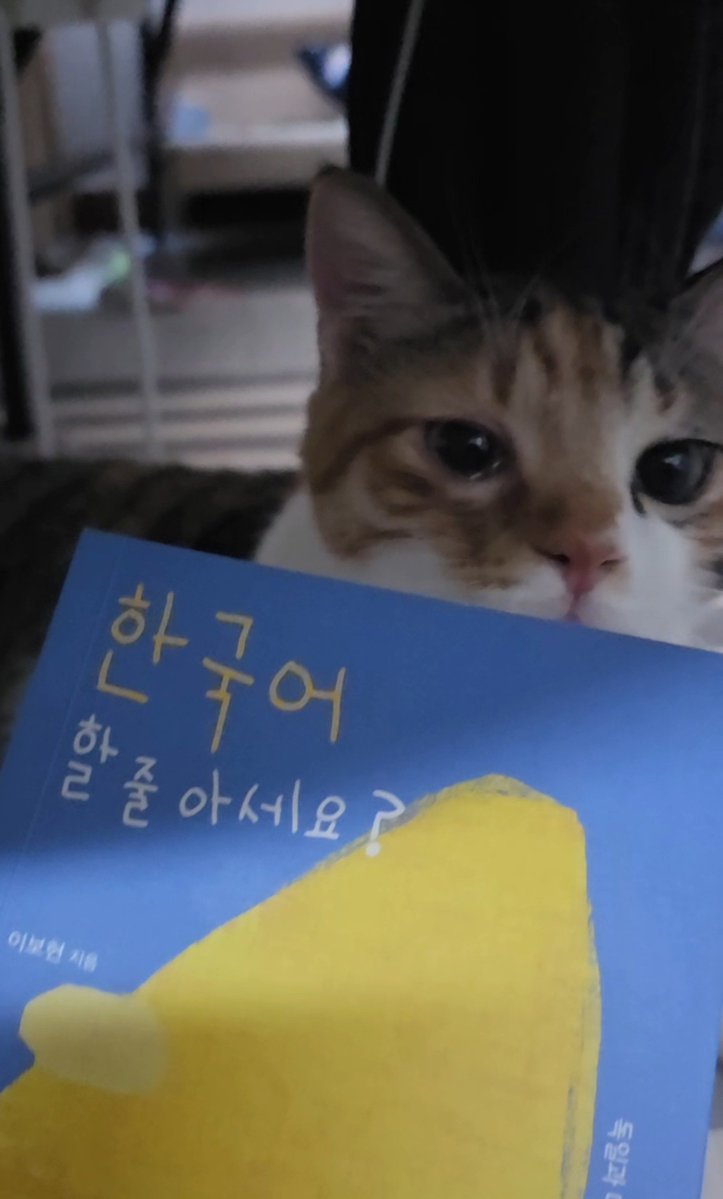 AgihoRangee's tweet photo. 고양이는 그런 거 몰라 https://t.co/M6xeVt249s