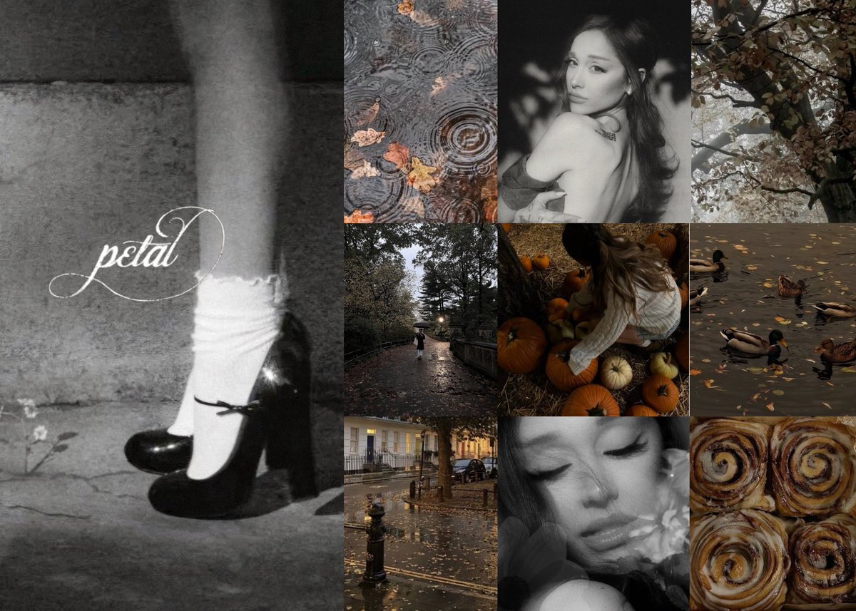 sweetenerwishes's tweet photo. petal is THE autumn album https://t.co/G4xnN4cL3X