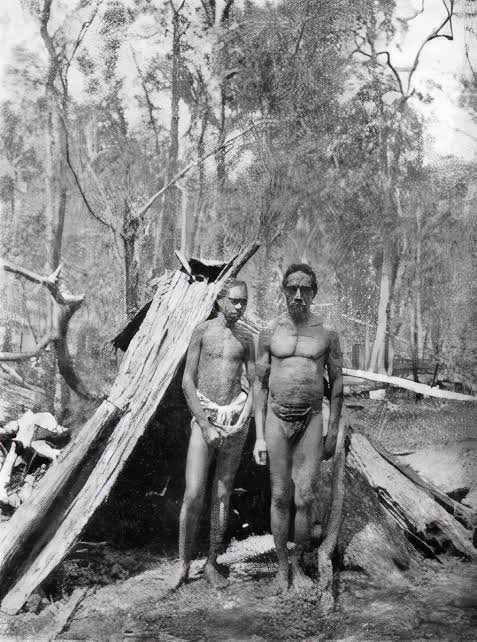 lily20087360's tweet photo. I won’t apologise about historical FACTS. 
Indigenous Australians were primitive. 

Your hurt feelings won’t change that. https://t.co/NfyIuA3l5n