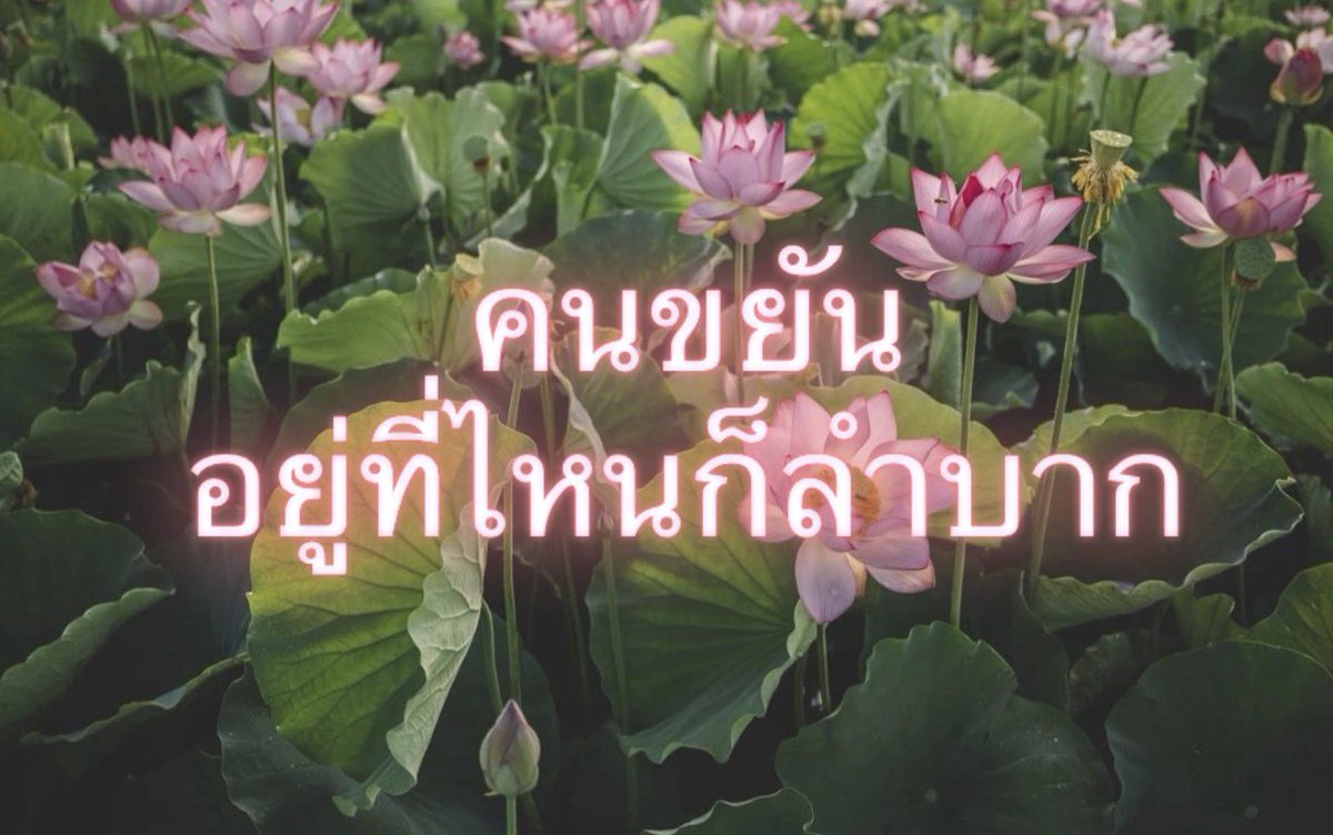 Iaunza's tweet photo. https://t.co/GcyTqZMENQ