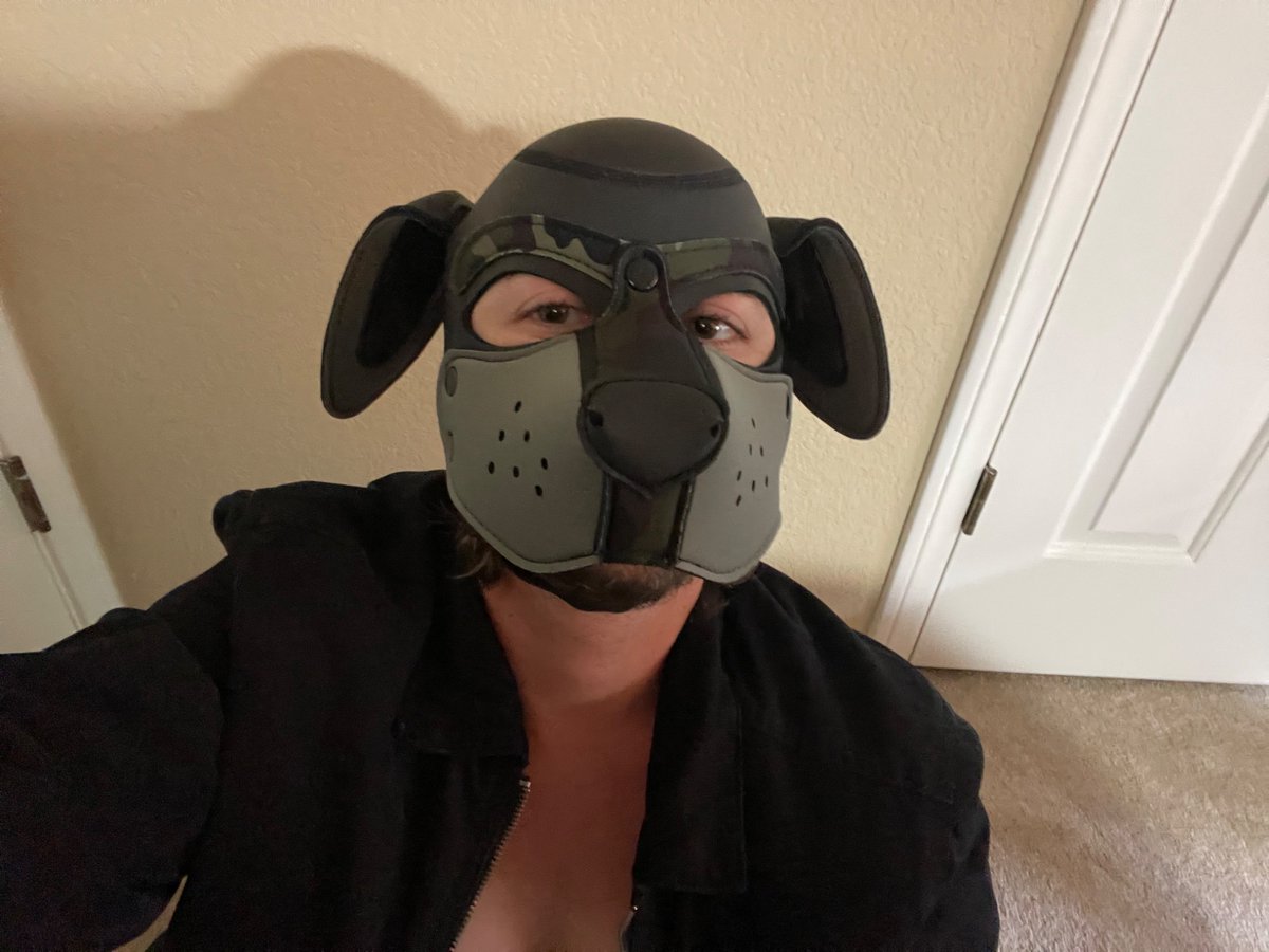 leatherfrogz's tweet photo. hey guess what #nsfw #leather #neoprene #pupplay #ftm https://t.co/16jWRzvt9c