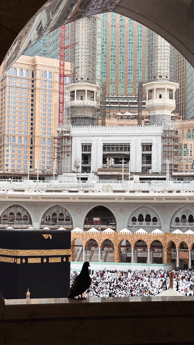thekingdom_ksa's tweet photo. رَبِّ اجْعَلْ هَٰذَا الْبَلَدَ آمِنًا ..🕋🇸🇦 https://t.co/6Im19hWNCh