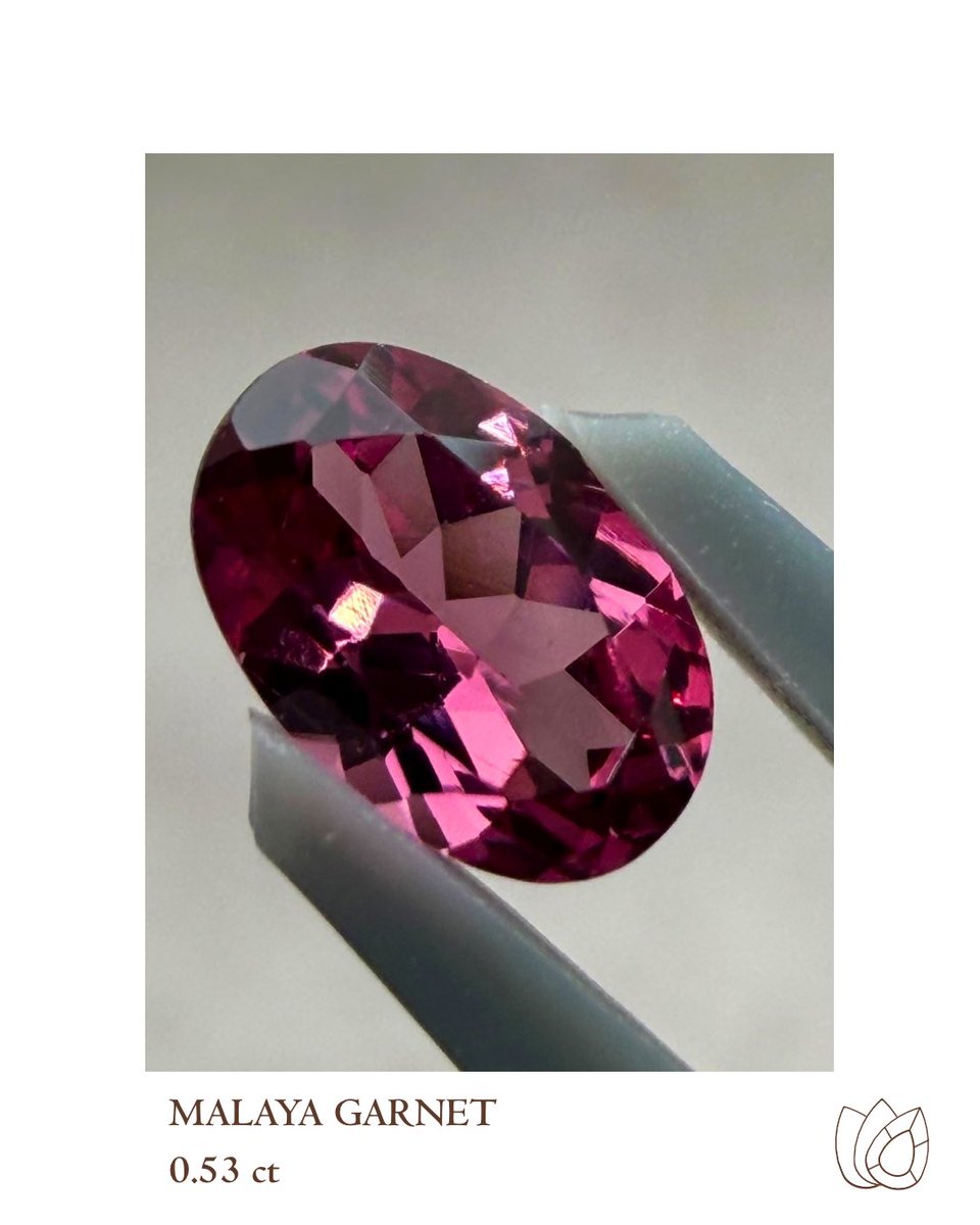 haruirogems's tweet photo. ラズベリーピンクに赤紫の深みを重ねた、華やかなマラヤガーネット。

光を受けると細かなファセットがきらめき、角度によって豊かな色の濃淡を楽しめます💎

0.535ct／約6.0×4.0×2.8mm
オンラインショップに掲載中です。

#マラヤガーネット #ルース https://t.co/1N5EPiew7D
