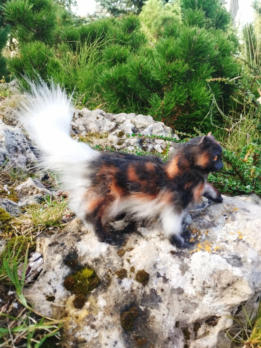 kessllir's tweet photo. Кленовница #mappleshade #warriorscat #catwarriors
Фигурка в смешанной технике. Продается 4500р https://t.co/7wtUa8LVFm