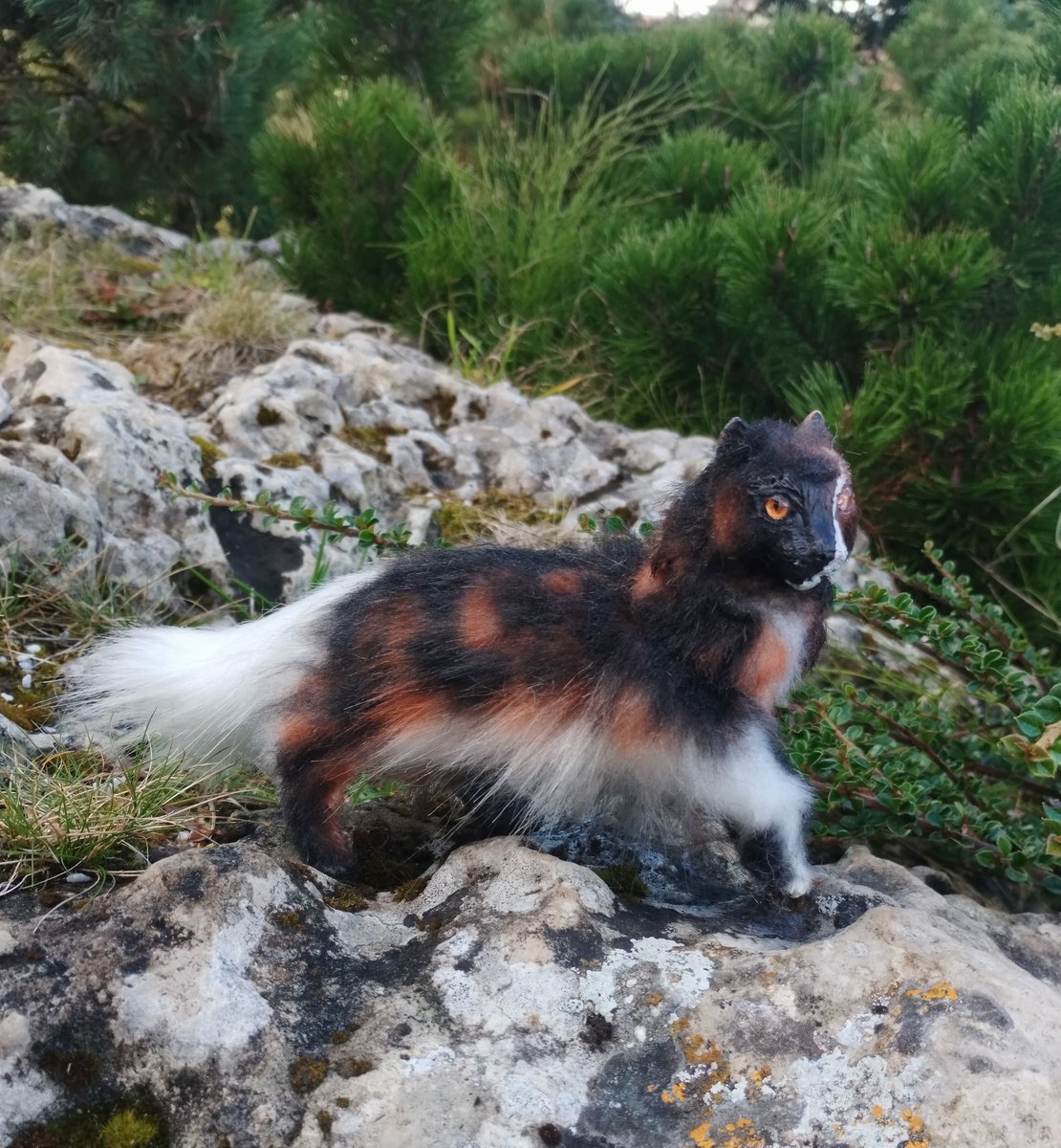 kessllir's tweet photo. Кленовница #mappleshade #warriorscat #catwarriors
Фигурка в смешанной технике. Продается 4500р https://t.co/7wtUa8LVFm