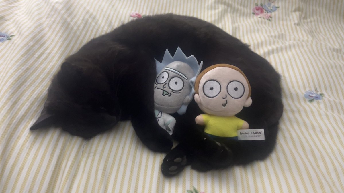 sappicfemcelord's tweet photo. they’re kitty sized!!!! https://t.co/5OUBnOs7yX