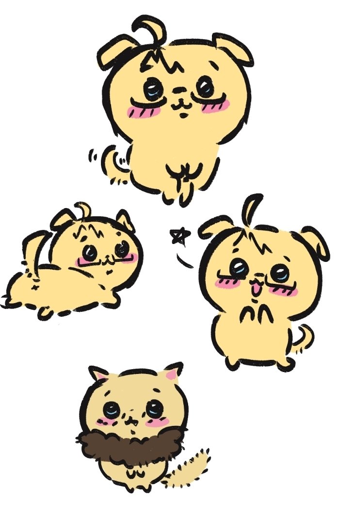 nyoamepan's tweet photo. Pequeño extra de america chiikawa https://t.co/y74ik6vsr6