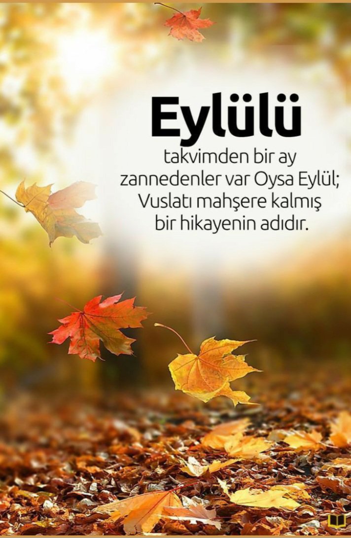 Ylnz89's tweet photo. https://t.co/Tm01m2GmIx