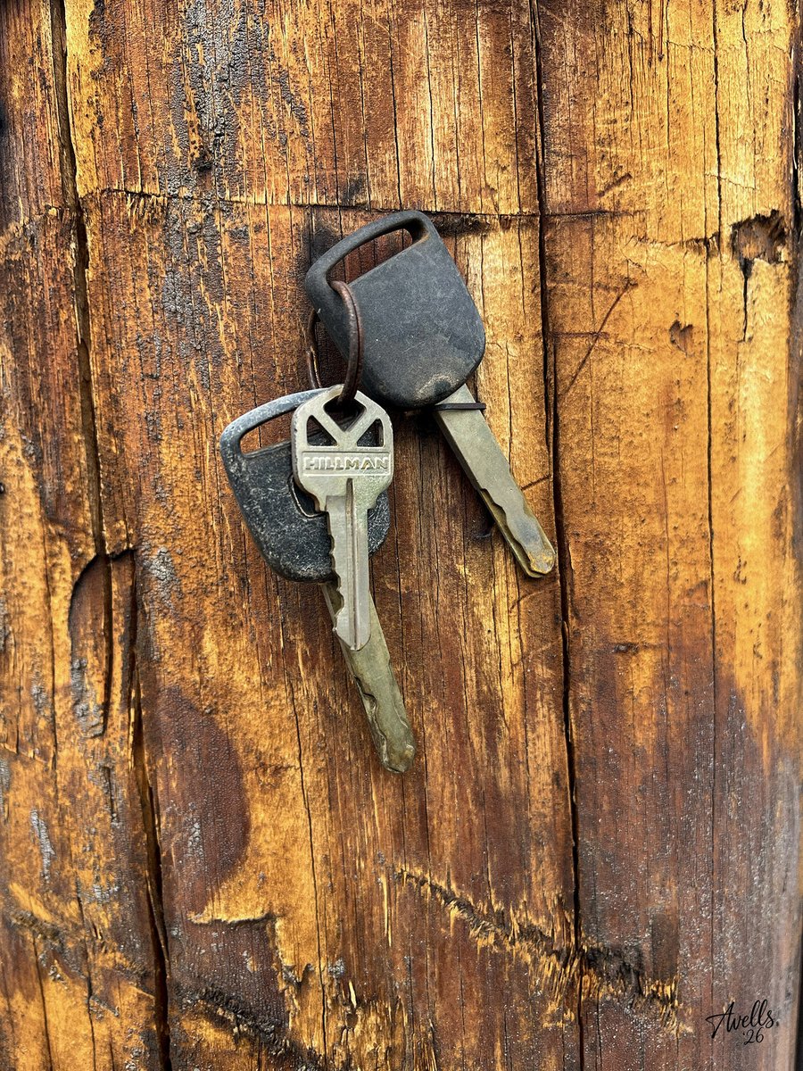 beachtv's tweet photo. Under lock and key. Nobody remembers what they open.
#UnderLockAndKey #StillLifePhotography #FoundObjects #FineArtPhotography #EverydayObjects #RusticPhotography https://t.co/nTVWcQb4j4