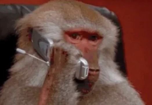 YKoluwaseun9's tweet photo. "Call me back, i dey Zoom meeting with Dangote" https://t.co/yZpISq6zS0