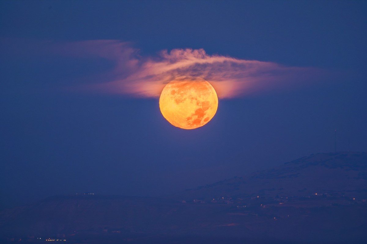 Nature_Beauty11 tweet picture